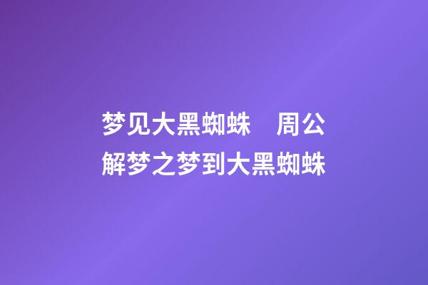 梦见大黑蜘蛛　周公解梦之梦到大黑蜘蛛